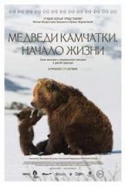 Медведи Камчатки. Начало жизни постер плакат